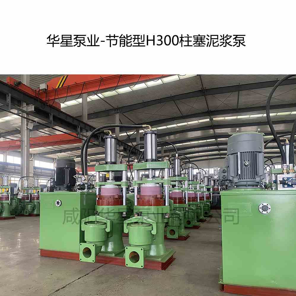 客戶購買一臺(tái)節(jié)能型H300陶瓷柱塞泵